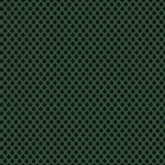 Forest 28273